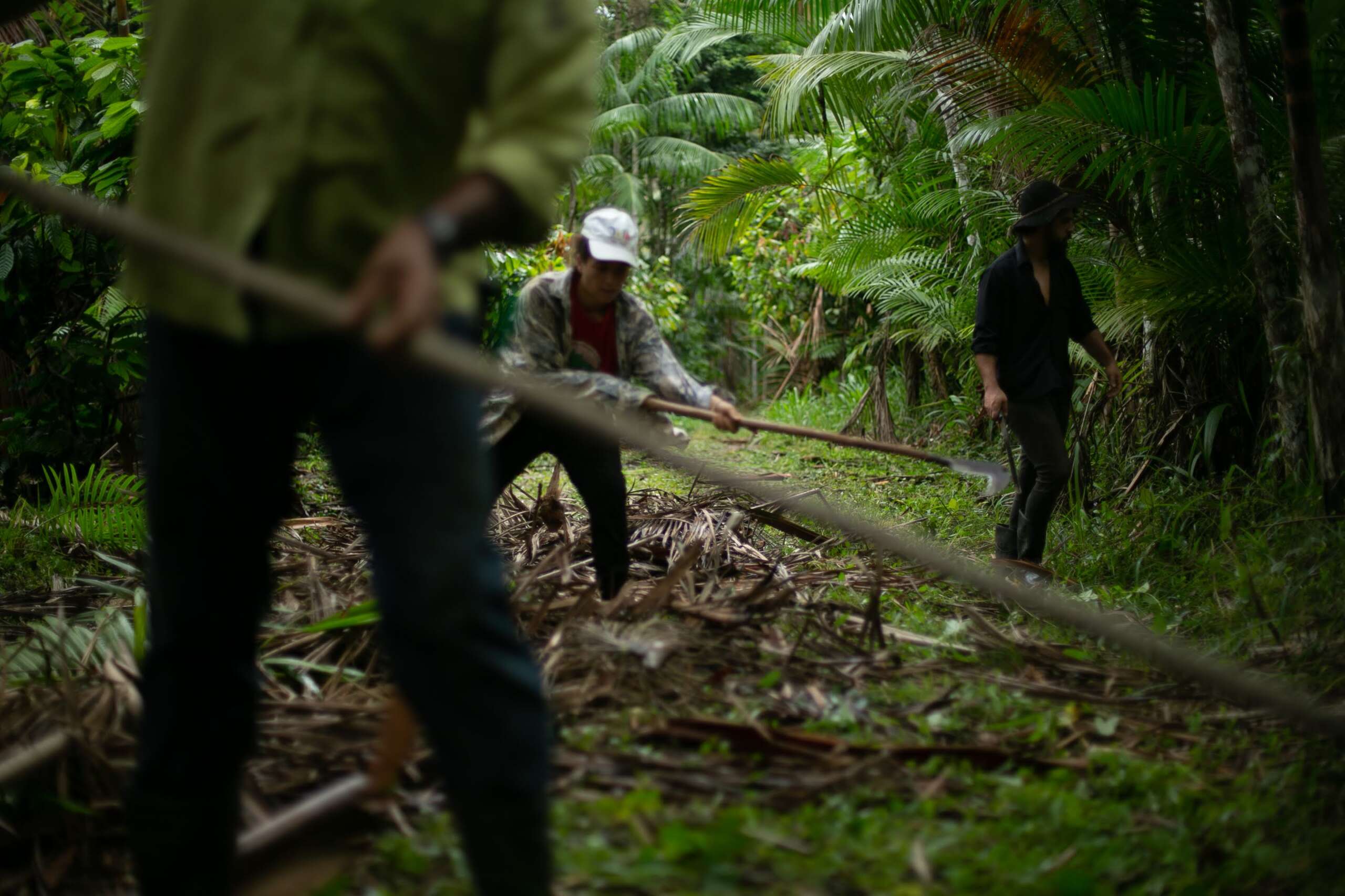 The Real Models for Sustainability in Brazil Are to Be Found Outside COP30