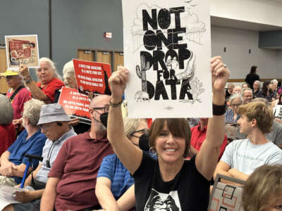 Community members protest against "Project Blue," a massive data center installation proposed by Amazon Web Services, at the Tucson Convention Center in Arizona on August 4, 2025.