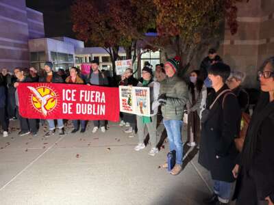 Dublin residents and immigrant justice advocates with the ICE Out of Dublin Coalition gather with signs and banners outside city hall in Dublin, California, before a city council meeting on December 16, 2025.