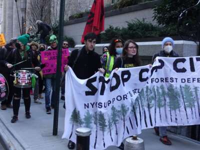 A Stop Cop City protest on March 9, 2023, in New York City.