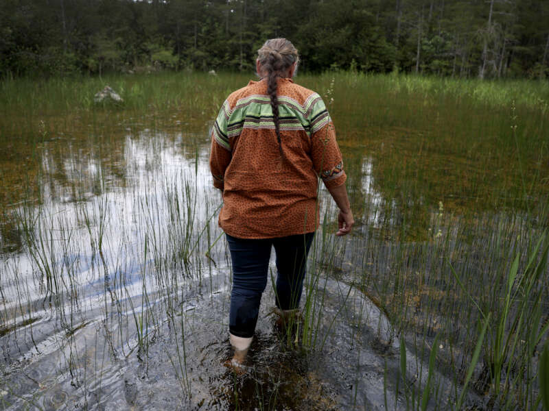 Betty Osceola, a member of the Miccosukee Tribe of Indians of Florida, walks in the Everglades a few yards from the front entrance to "Alligator Alcatraz" at the Dade-Collier Training and Transition Airport on July 10, 2025, in Ochopee, Florida.
