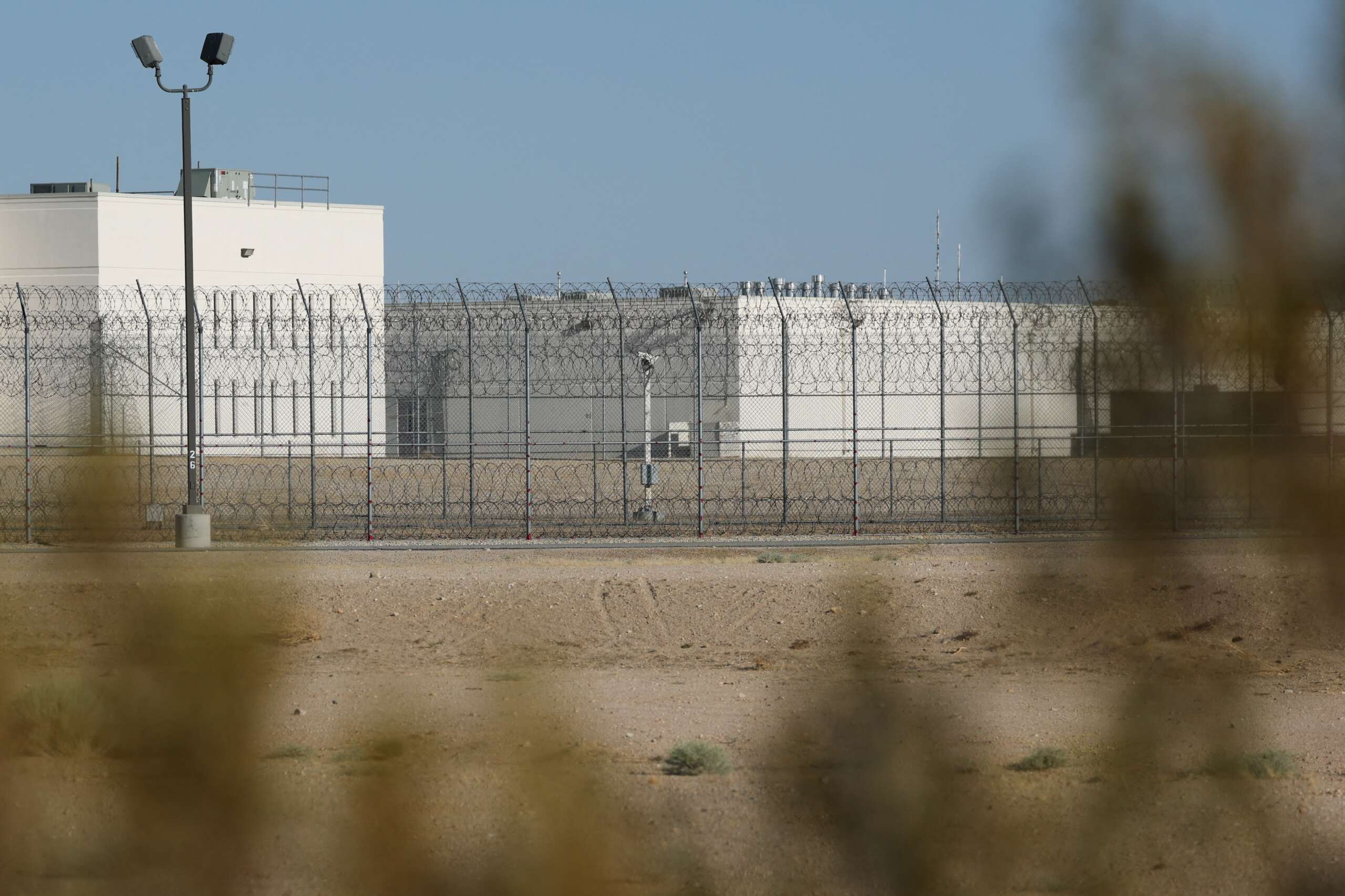 Deaths in Detention Warn of Horrors Behind ICE's Prison Walls
