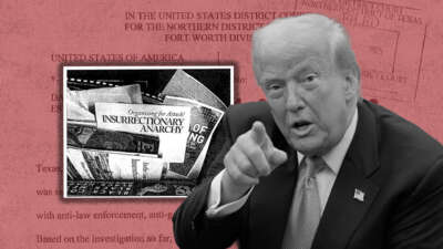 An image of criminal charges featuring a picture of zines, with Donald Trump in the foreground
