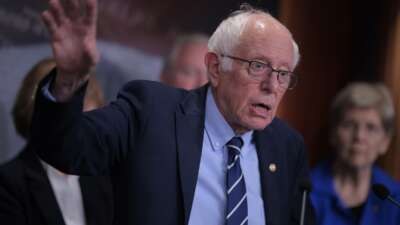 Sen. Bernie Sanders (I-Vermont) holds a news conference on the 29th day of the federal government shutdown at the U.S. Capitol on October 29, 2025 in Washington, D.C.