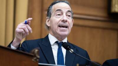 Rep. Jamie Raskin (D-Maryland) questions a witness in a hearing on Thursday, January 22, 2026.