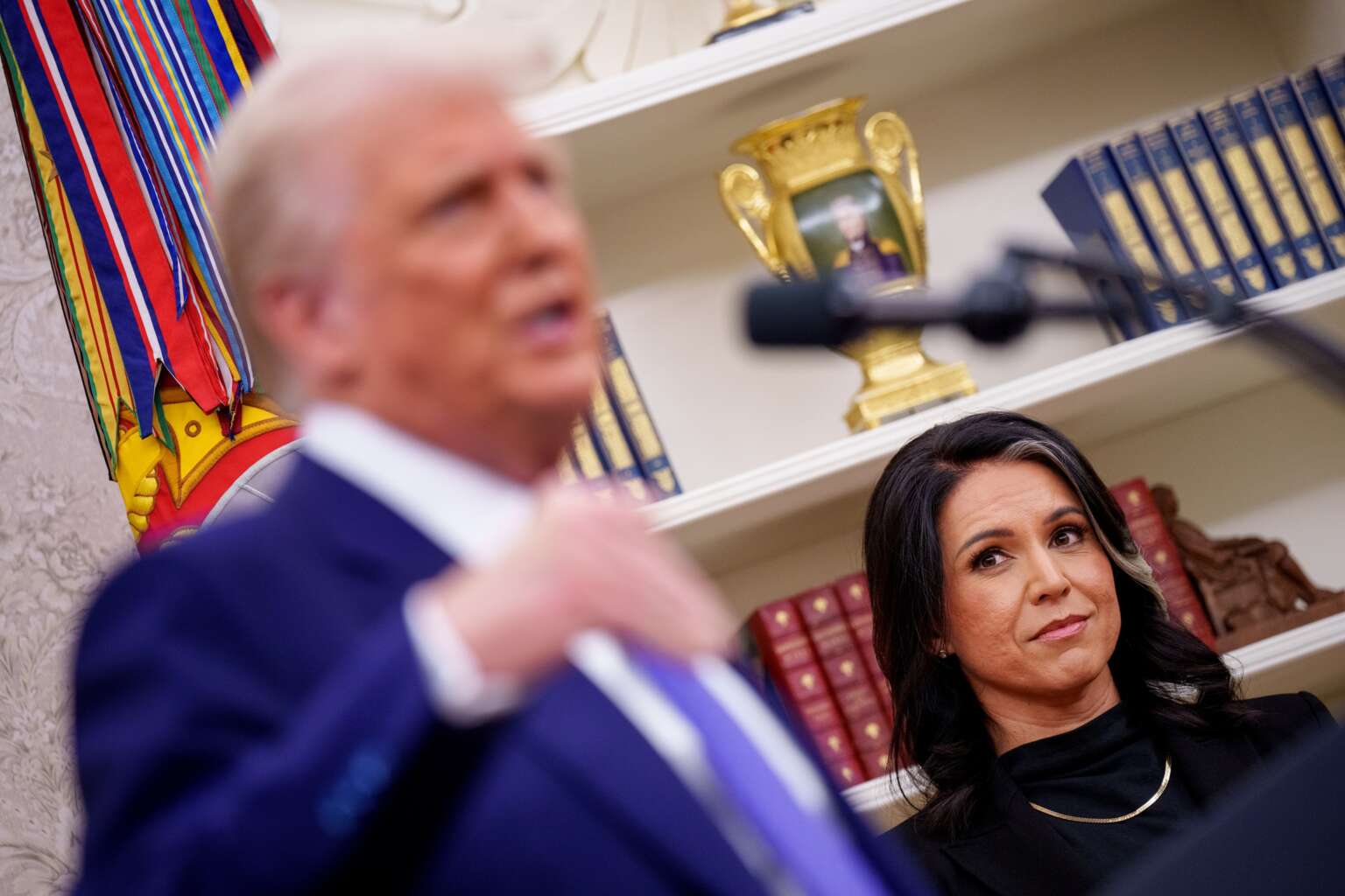 Tulsi Gabbard Is Running Her Own 2020 Election Inquiry, Separate From(02)