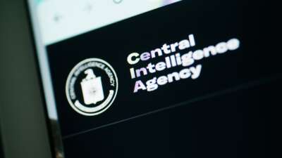 Picture of CIA website