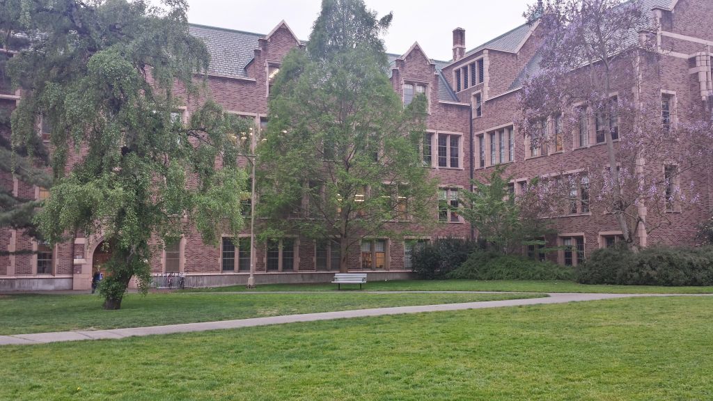 UW Removes Middle East Center Director After Criticizing War