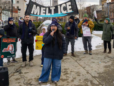 Jahaira Roldan, of the New York Immigration Coalition, speaks during a protest on January 3, 2025, in Townsend Park in Albany, New York.