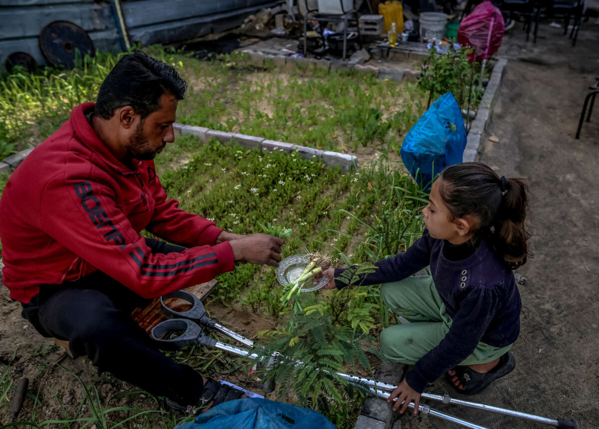 A Palestinian man and a young girl in Gaza work in a garden together, next to a pair of crutches