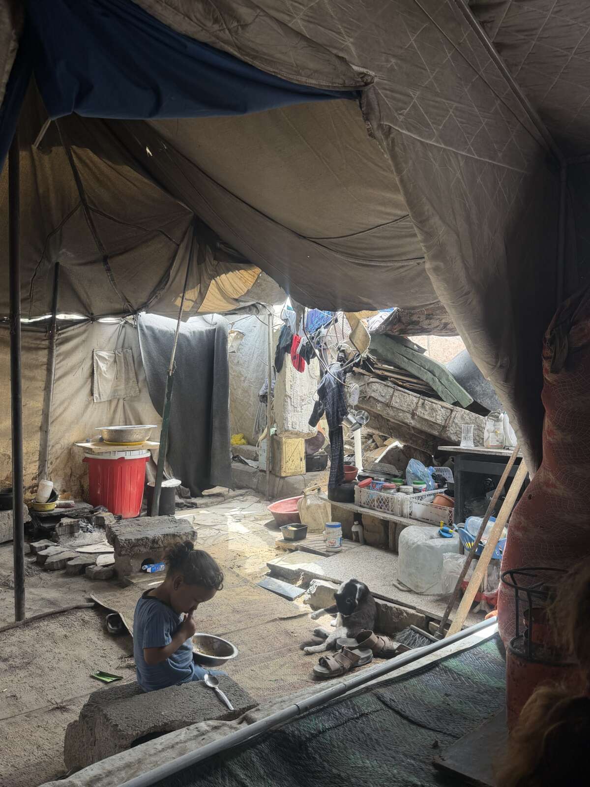 Samer Al-Suwair’s daughter is pictured in their makeshift home -- a site of displacement and a breeding ground for rodents.