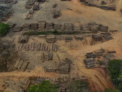 Aerial view shows timber logs near the city of Humaitá, Amazonas state, northern Brazil, on September 4, 2024.