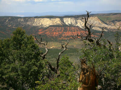 The colorful canyons of Dinosaur National Monument in Colorado viewed from the rim above on a summer day.