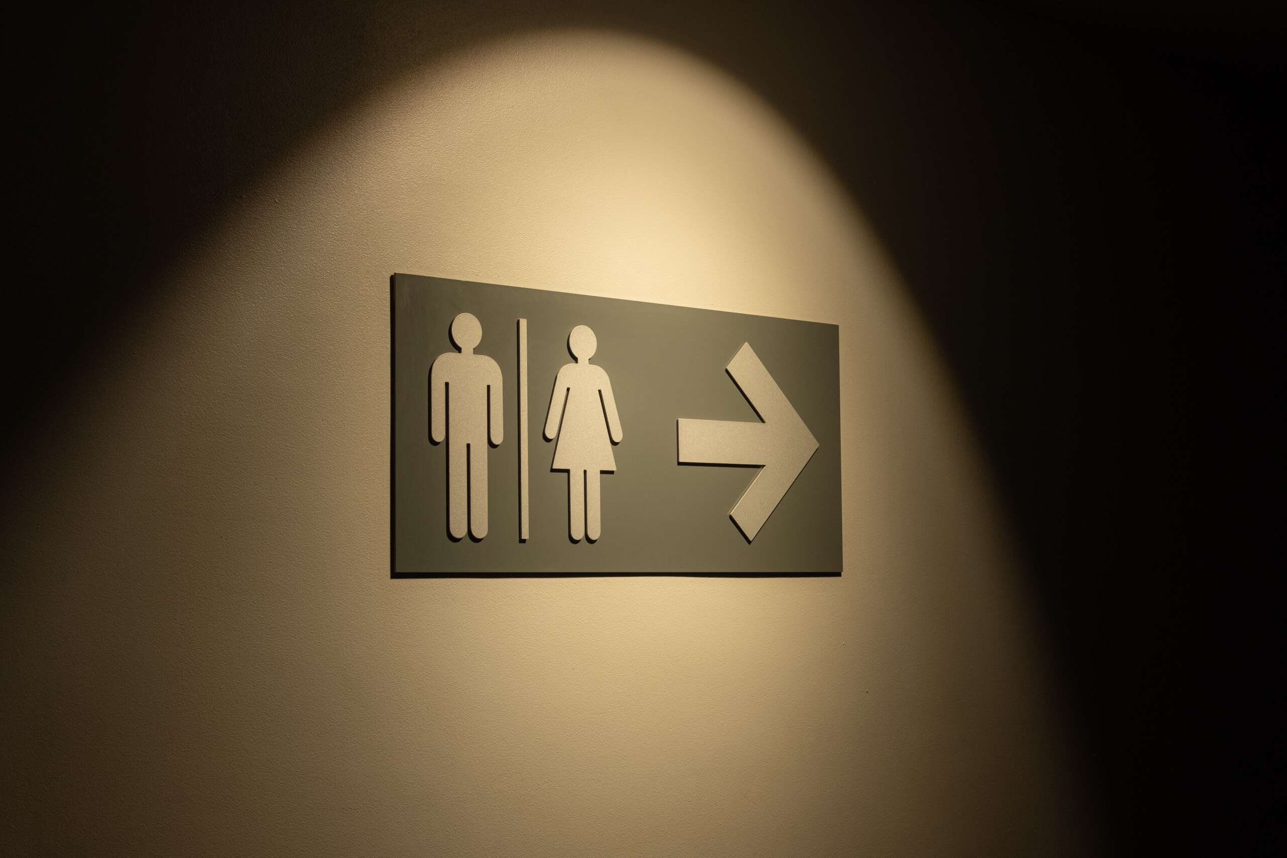 Temporary Blocking of Idaho’s Bathroom Ban Isn’t Actually a Win for Trans Rights
