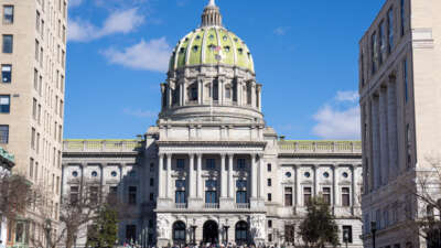 Protesters rally on President's Day outside the Pennsylvania State Capitol in Harrisburg, Pennsylvania, on February 17, 2025.