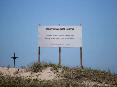 A sign warns SpaceX enthusiasts not to drive on a sensitive wildlife habitat, which sits directly across the street from the rocket launch site in Starbase, Texas, on February 6, 2026.