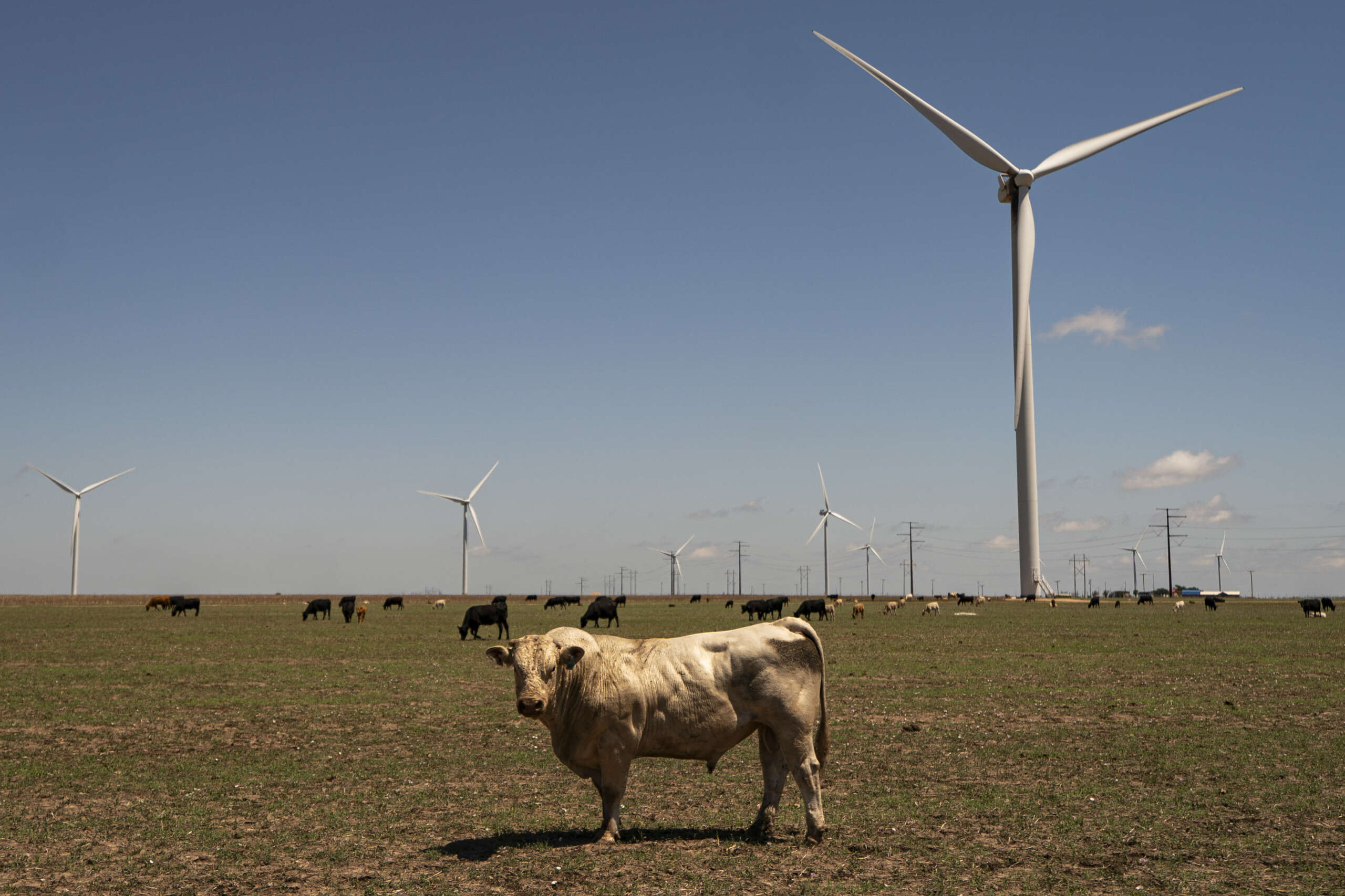 Trump Administration Drops Effort to Halt Wind Energy Projects Across the US