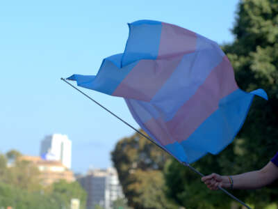 Transgender flag