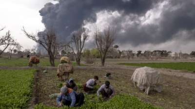 Farmworkers harvest crops as smoke billows following overnight airstrikes on oil depots in Tehran, Iran, on March 8, 2026.
