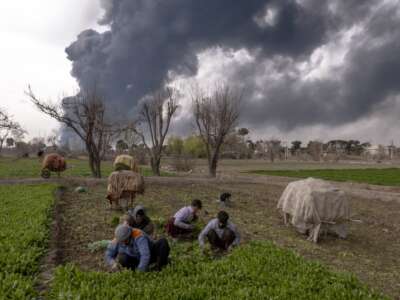 Farmworkers harvest crops as smoke billows following overnight airstrikes on oil depots in Tehran, Iran, on March 8, 2026.