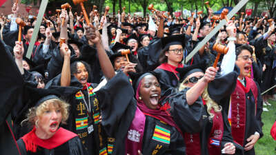 Harvard Law School graduates celebrate at commencement in Cambridge, Massachusetts, on May 28, 2026.
