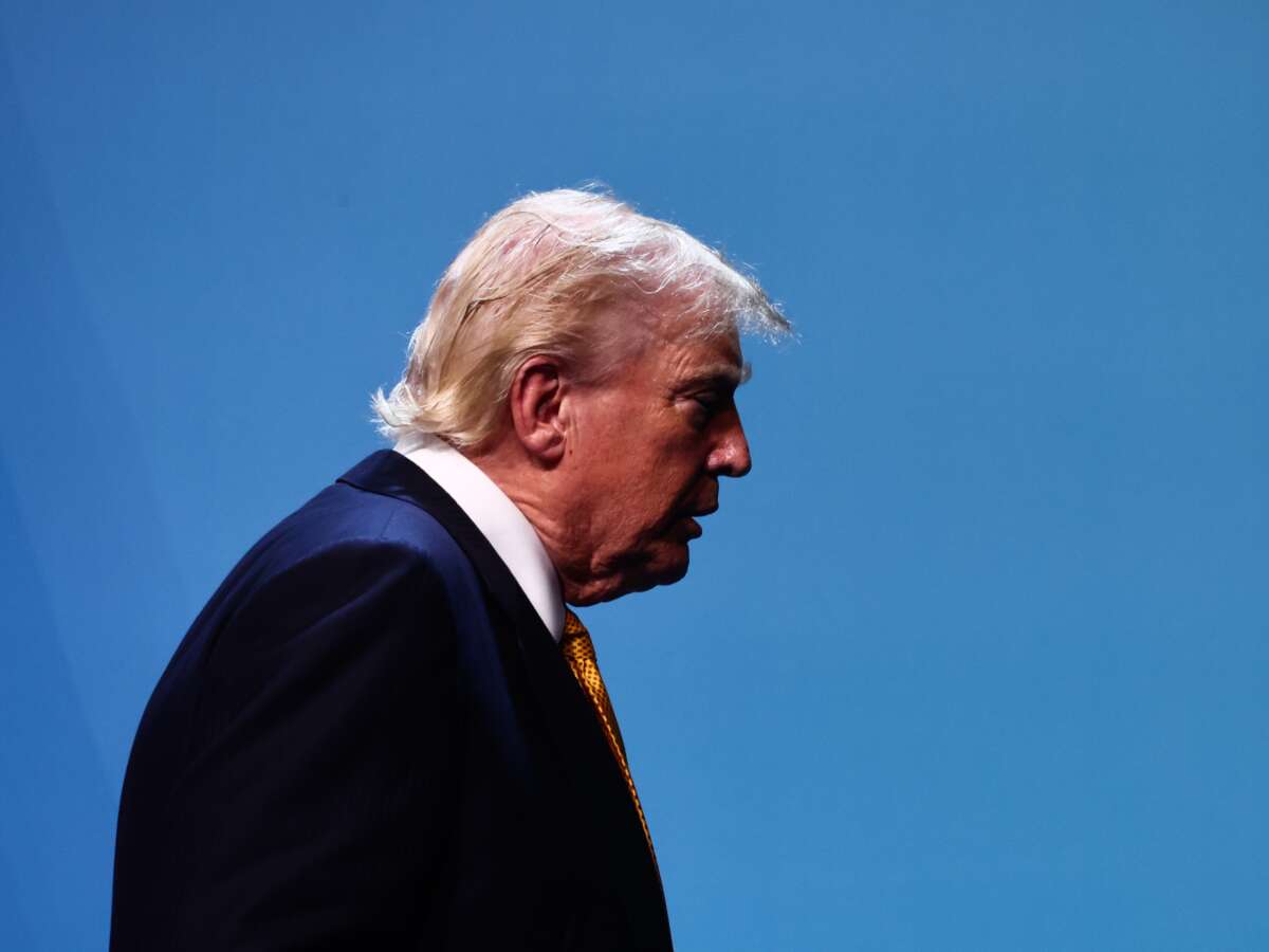 In the Wake of Supreme Court Rulings, Trump Purges Federal Election Agency
