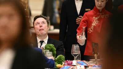 Tesla and SpaceX CEO Elon Musk reacts ahead of a state banquet for US President Donald Trump and China's President Xi Jinping at the Great Hall of the People Beijing in China on May 14, 2026.