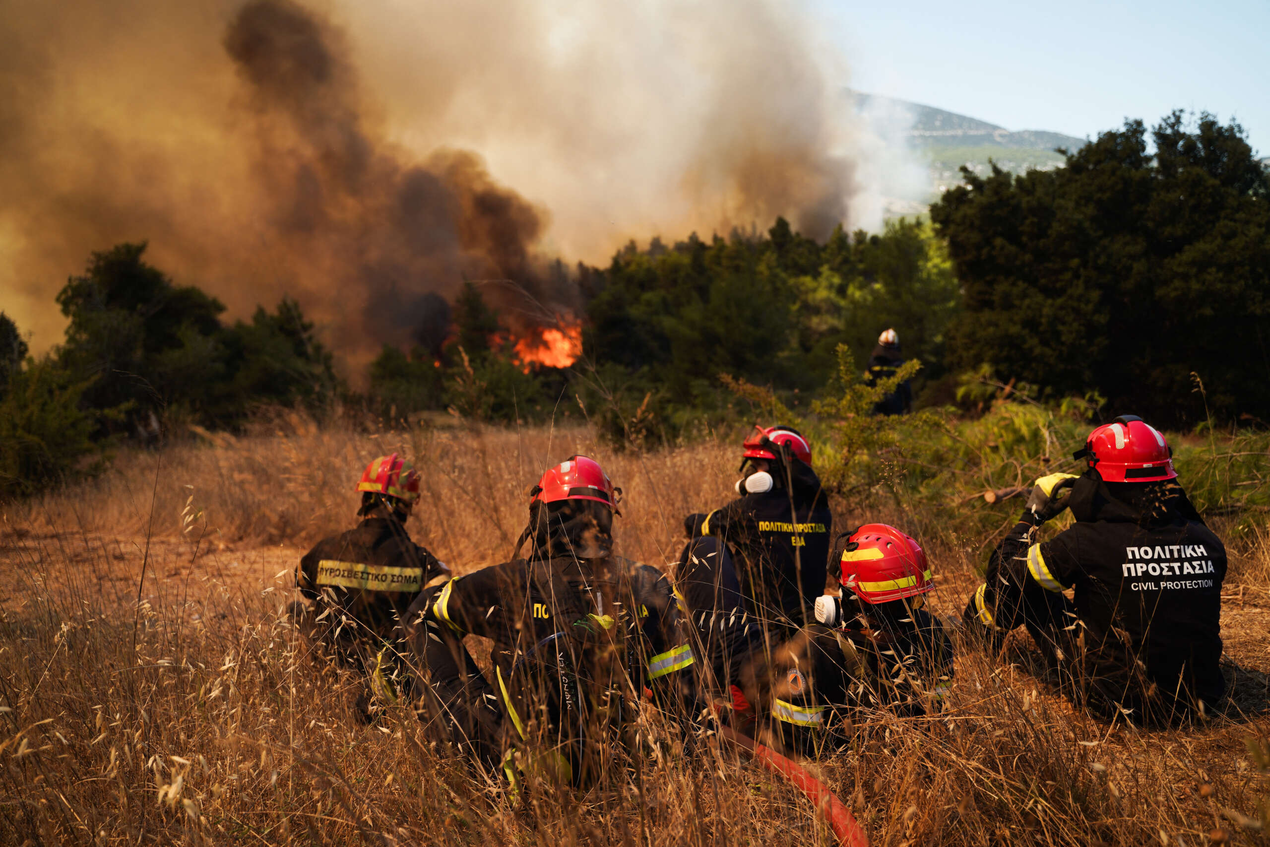 Wildfire Smoke Now Threatens Prenatal Health More Than Harmful Human ...