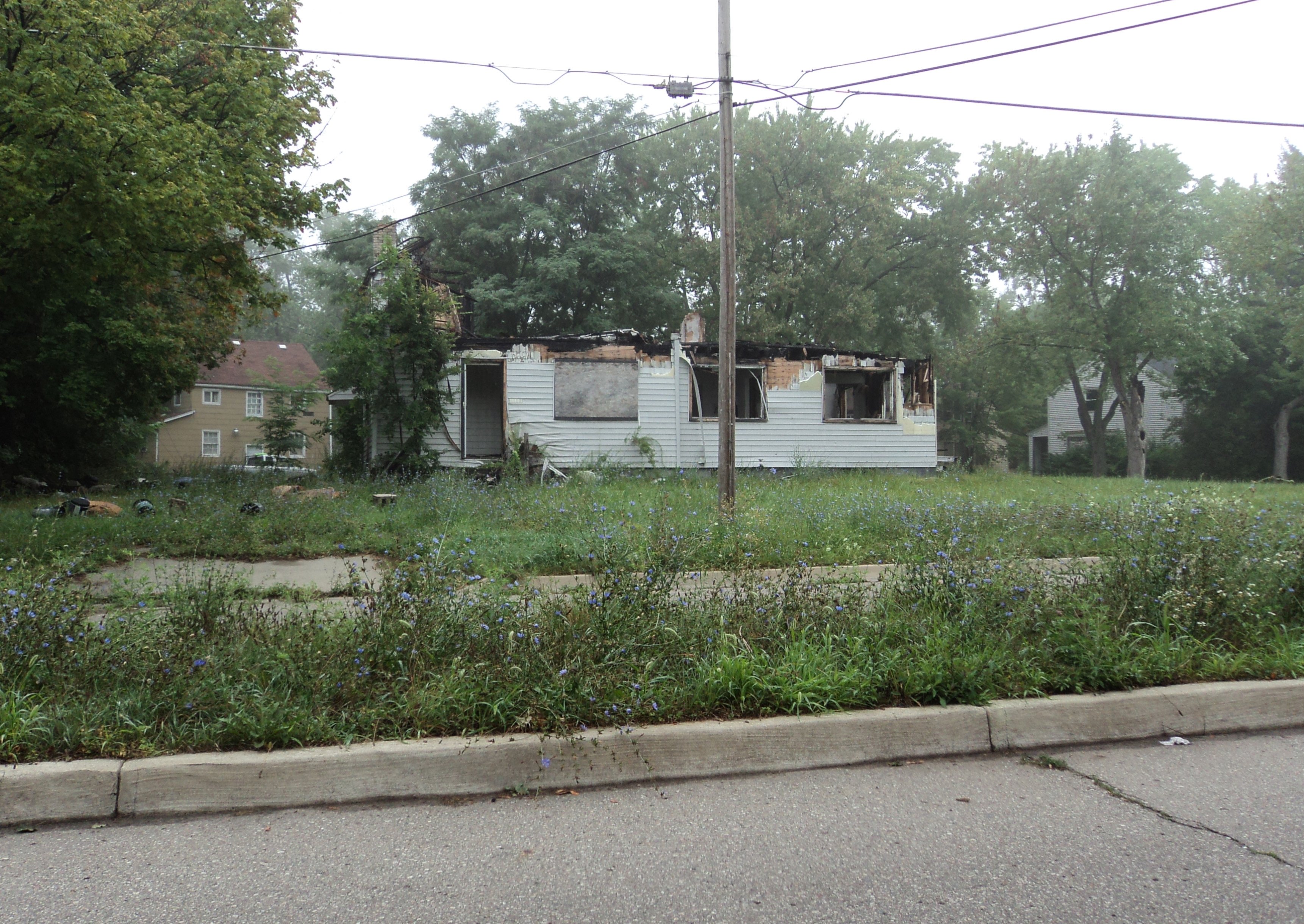 Abandoned houses pockmark the author's old neighborhood.