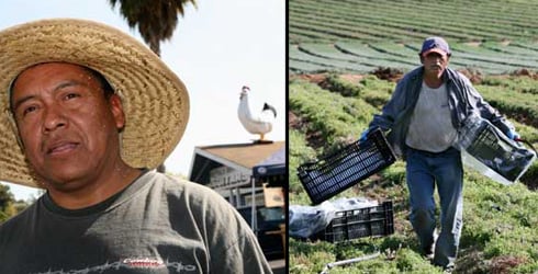 Juan Castillo, a migrant from Tehuacan, Puebla, waits with his friends in the parking lot of a market they've nicknamed La Gallinita, because of the rooster on the roof of the building. Photos by David Bacon.