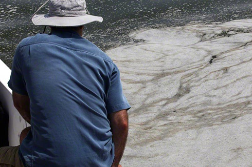 Emulsified foam and oil in open water between Timbalier Isle and Port Fourchon, Louisiana, August 16, 2010.