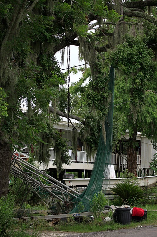 Fishing gear hanging from trees. Photo by Erika Blumenfeld.