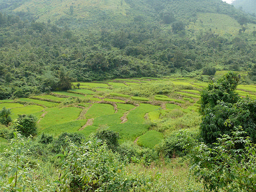 Chatikona District, Rayagada - Dongria Kondh landscape.