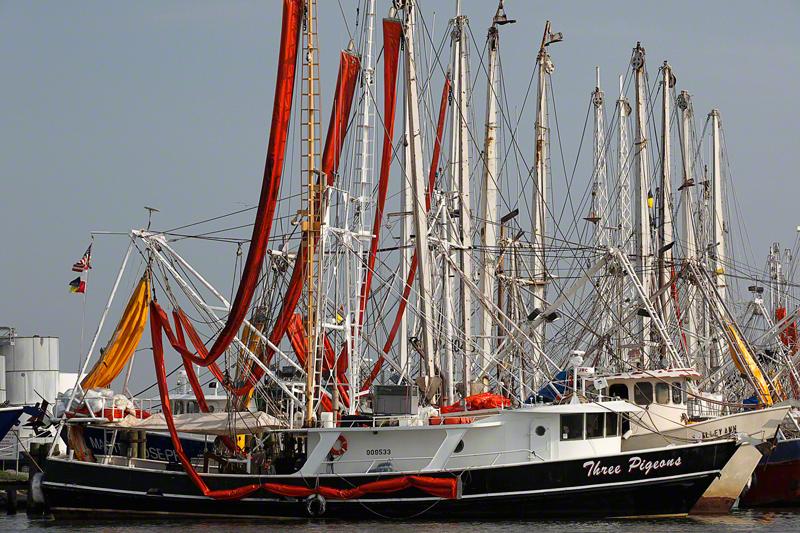 A little further, we pass dozens of large shrimp boats laden with boom and skimming gear.