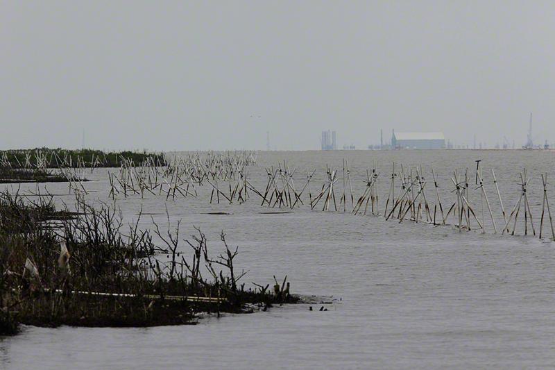 There is another forest of PVC pipe sticking out of the water.