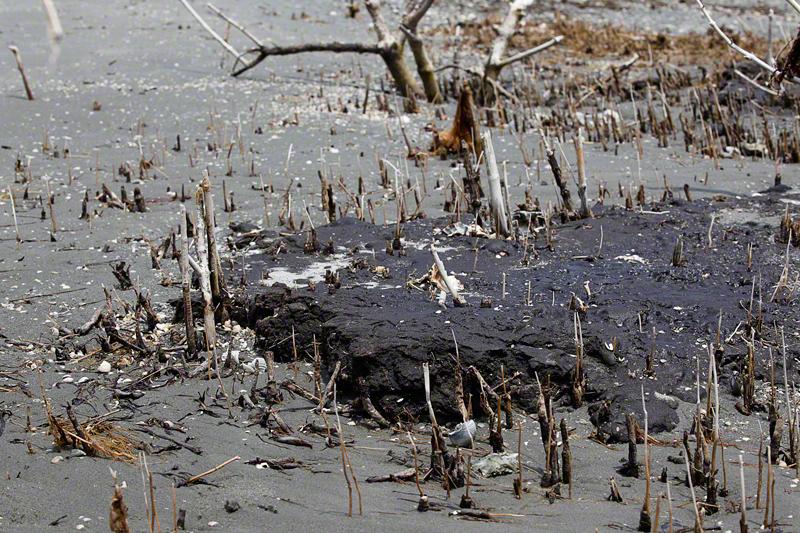 We begin walking and find tar balls everywhere. In some places, there are literally huge mats of fresh tar.