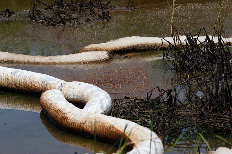 Sorbent booms blackened and browned with oil lay chaotically in the lagoon.