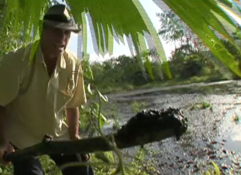 Sludge in Ecuador