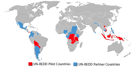 Map showing UN-REDD pilot countries and partner countries