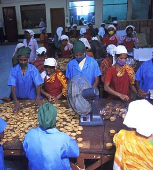 Bangladesh factory workers.