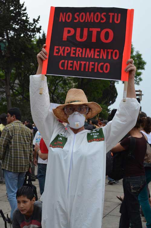 We are not your #$%$* science experiment. A genuine concern about the scientific effects of GMO crops was a common thread in protesters signs.