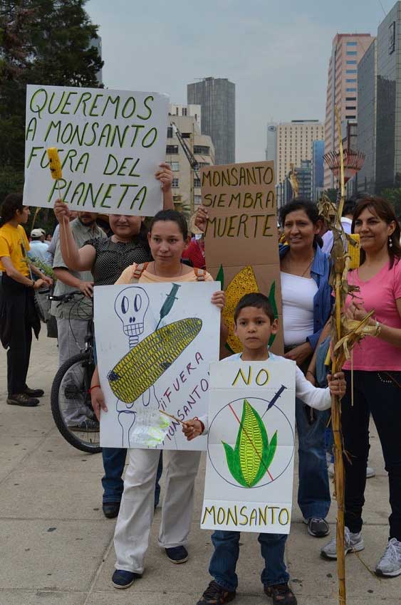 Protestors weren't just saying not in my backyard but instead stating that they want Monsanto kicked off the planet.