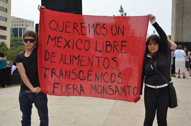 We want a Mexico free of GMO food. Leave Monsanto!