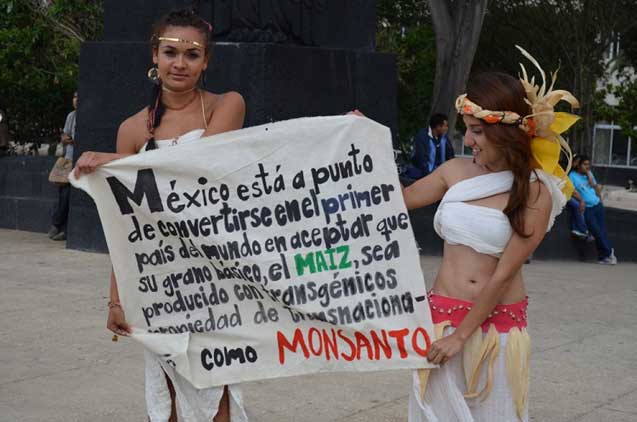 Protesters sport corn husks to emphasize the importance of native corn for the Mexican diet.