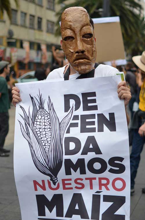 We will defend our corn!