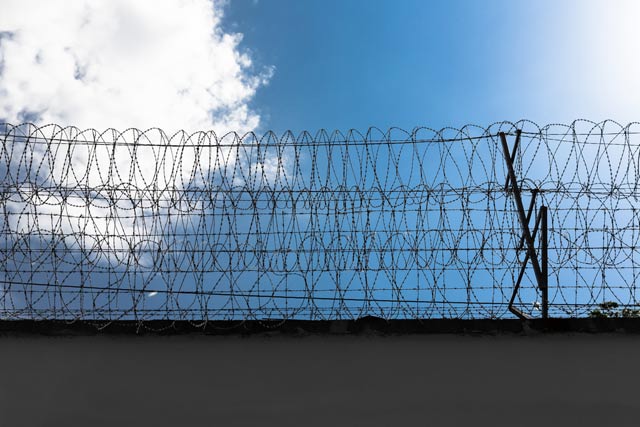 Prison fence