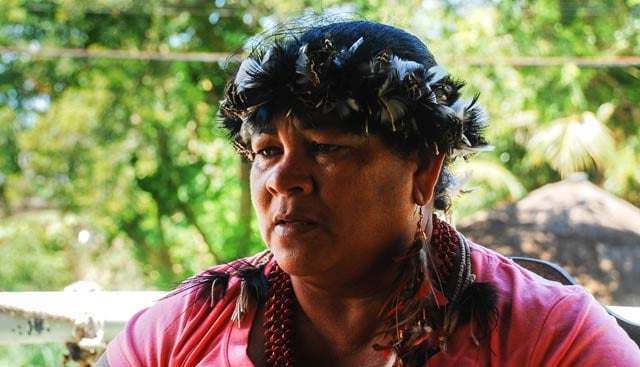 An indigenous Tupinamba leader from the coastal region. (Photo: Santiago Navarro F.)