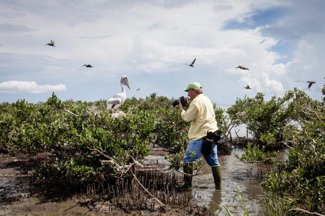PJ Hahn photographing nesting pelicans on Cat Island two year after the BP oil spill. (Photo: ©2015 Julie Dermansky)