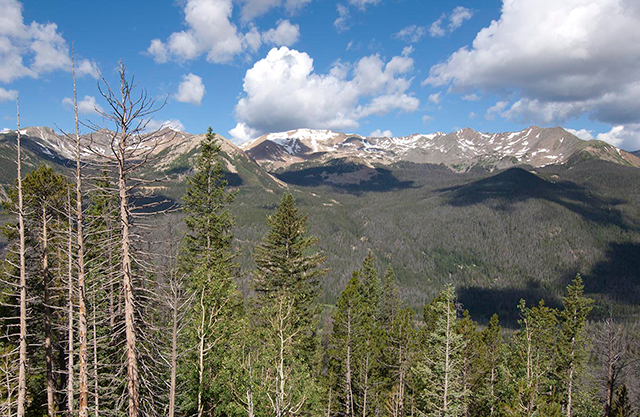 The Never Summer Range, just to the west of the northern section of Rocky Mountain National Park. Spruce beetle attack in the Never Summers is heavy above 10,000 feet. Dead lodgepole (foreground left) remain after the mountain pine beetle swept through in 2008. (Photo: Bruce Melton)