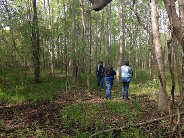 A Houma Indian Mound in Houma, LA. (Photo: Bennett Collins)